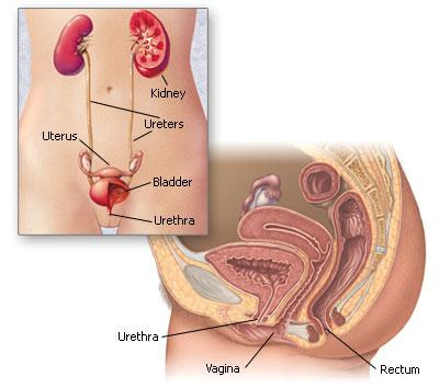Symptoms of Gonorrhea