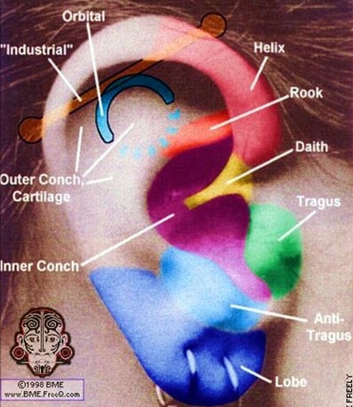 piercing ear. simple ear lobe piercing