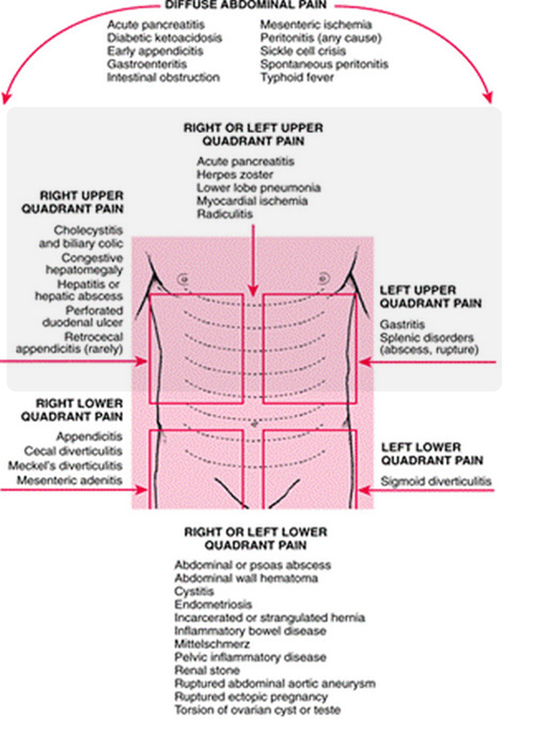 Upper Left and Right Abdominal Pain – Causes and Treatment