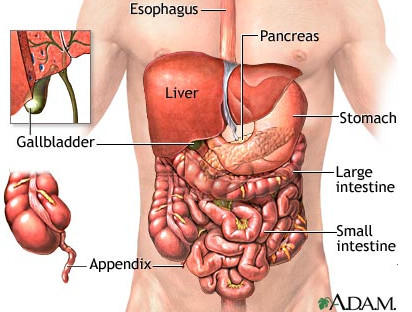 I have a dull pain in the left side of my.