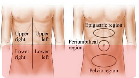 abdominal regions areas lower