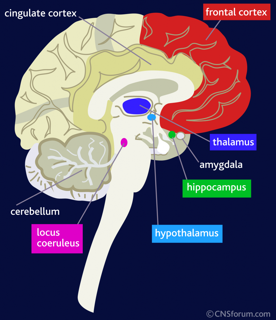 Post Traumatic Stress Disorder (PTSD) Symptoms and Signs