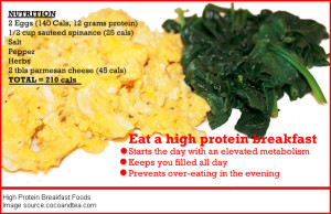 High Protein Breakfast Foods