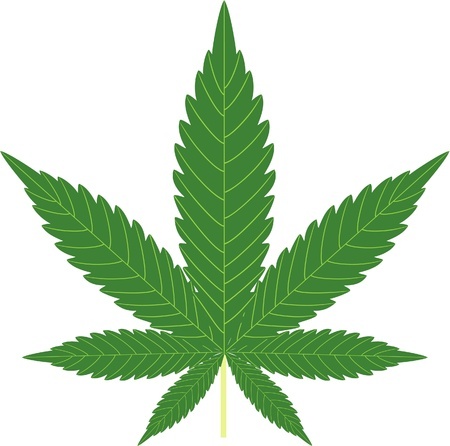 How Long Does Marijuana Stay In Your System