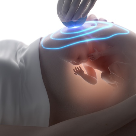 12 Weeks Pregnant Ultrasound