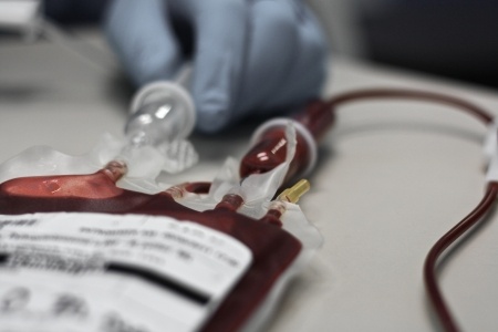 32 Weeks Cord Blood Banking