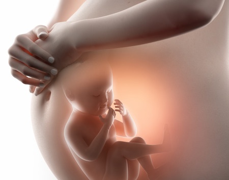 Pregnancy Week-By-Week