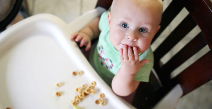 Baby Finger Foods