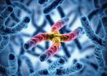 Genetically Inherited Diseases