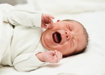 Why Babies Cry